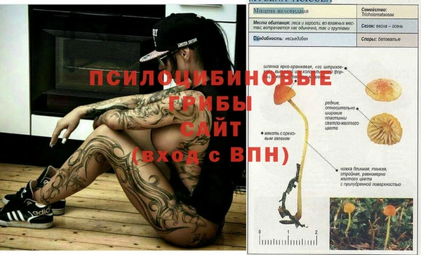бошки Михайлов
