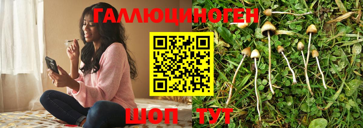 Галлюциногенные грибы прущие грибы  Вход с VPN  Нижневартовск  где купить наркоту  Галлюциногенные грибы мухоморы 