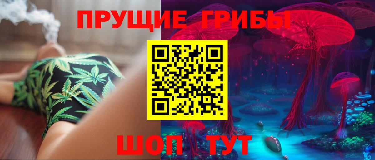 Галлюциногенные грибы Psilocybe Нижневартовск